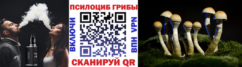 KRAKEN ССЫЛКА  Алексин  Псилоцибиновые грибы мицелий 