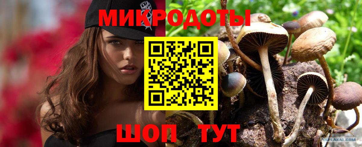Алексин  Галлюциногенные грибы прущие грибы  Вход с VPN 