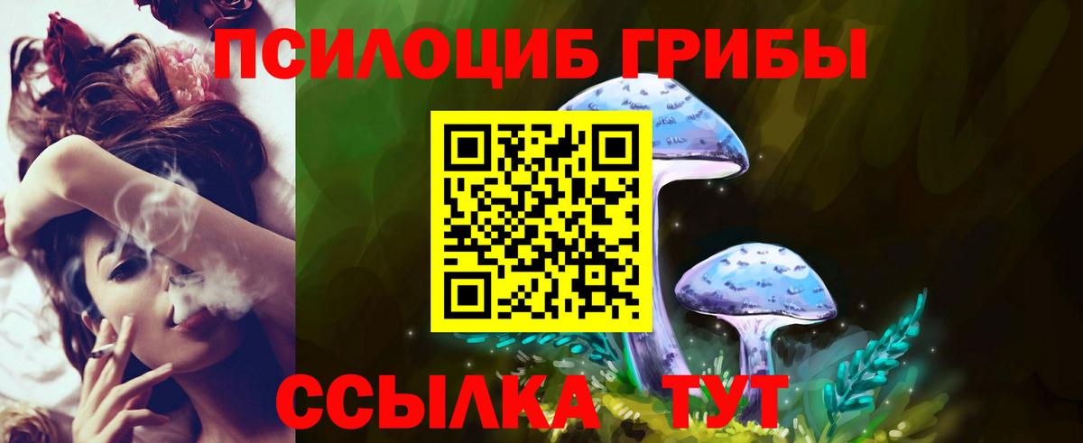 Галлюциногенные грибы мицелий Алексин